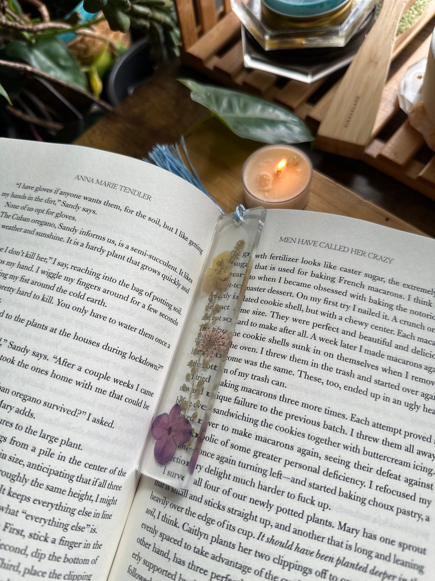 SUMMER 🌼BOOKMARKS🌼