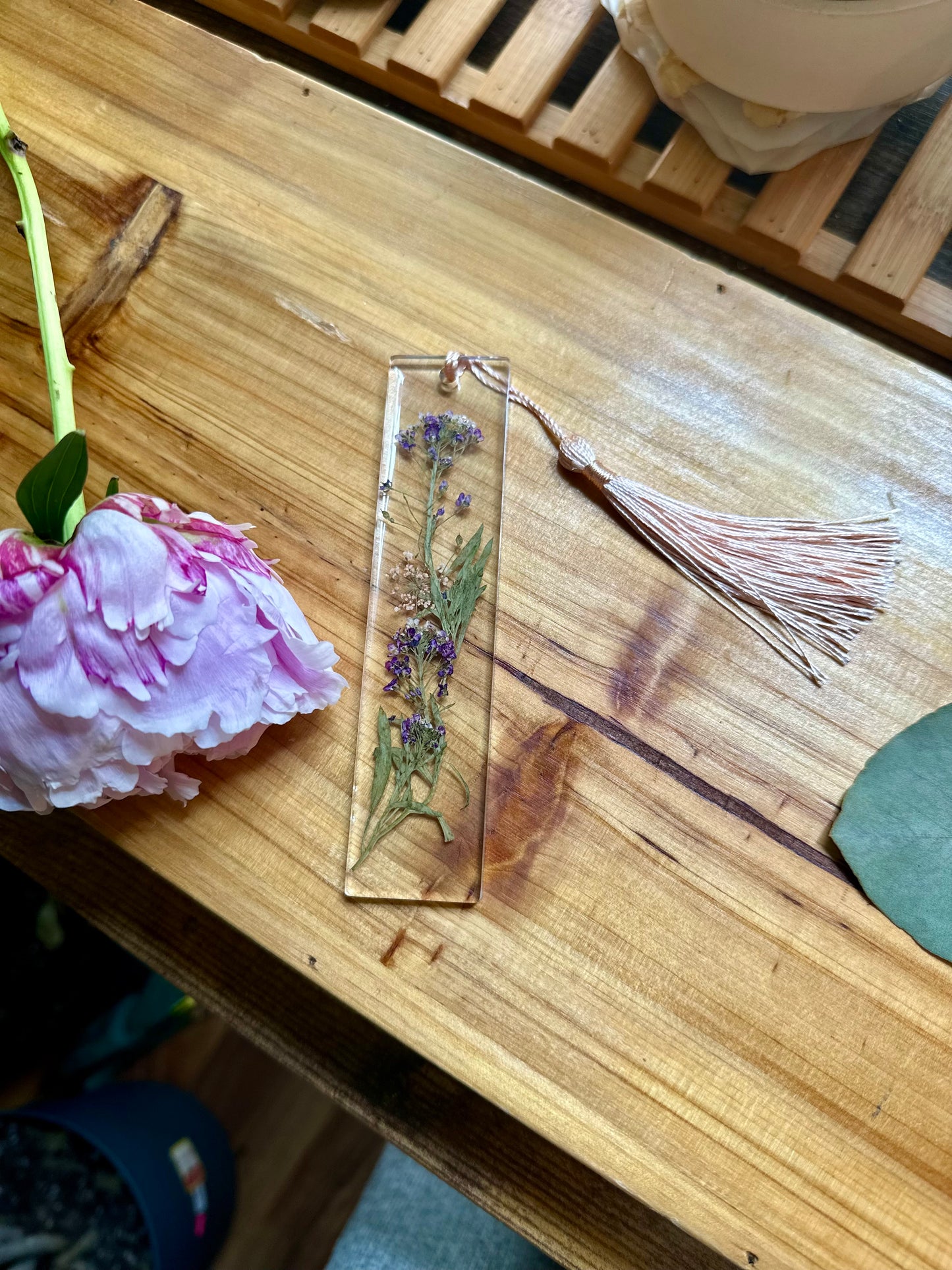 SUMMER 🌼BOOKMARKS🌼