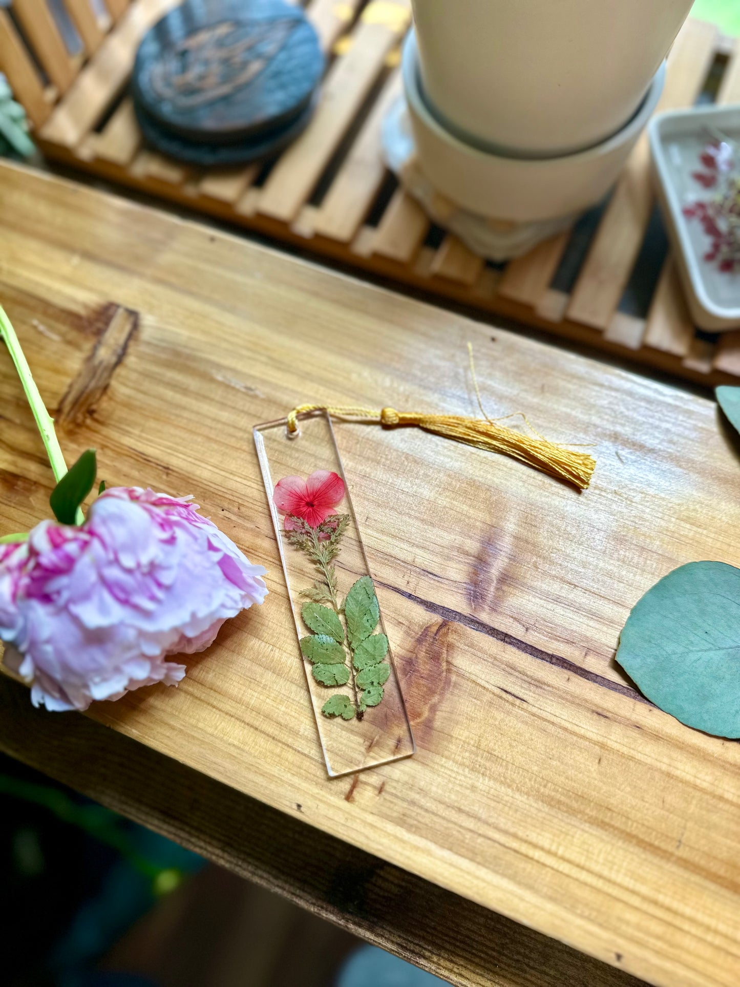 SUMMER 🌼BOOKMARKS🌼